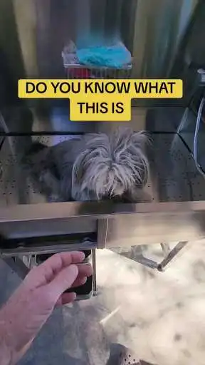 Watch Your Dog Enjoy Stress-Free Baths with the VEVOR Home Bath Station