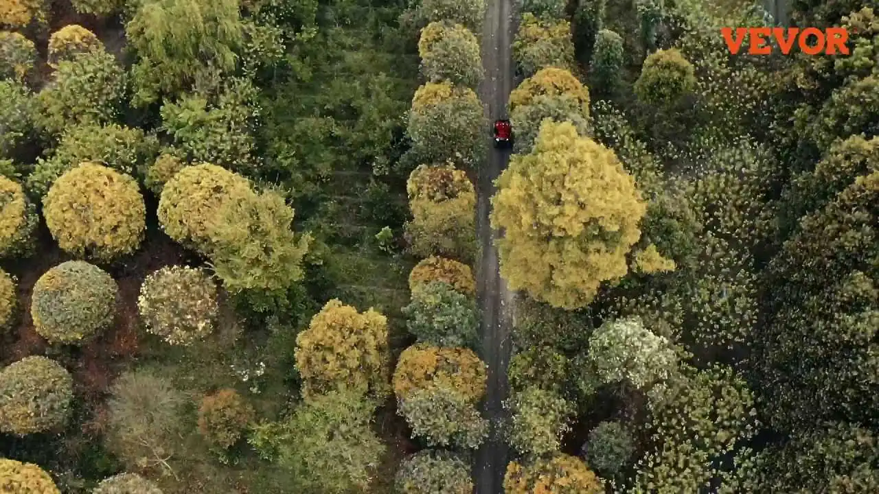 Guarda come il verricello elettrico per barche VEVOR da 12 V semplifica il carico del rimorchio con telecomando e cinghia resistente