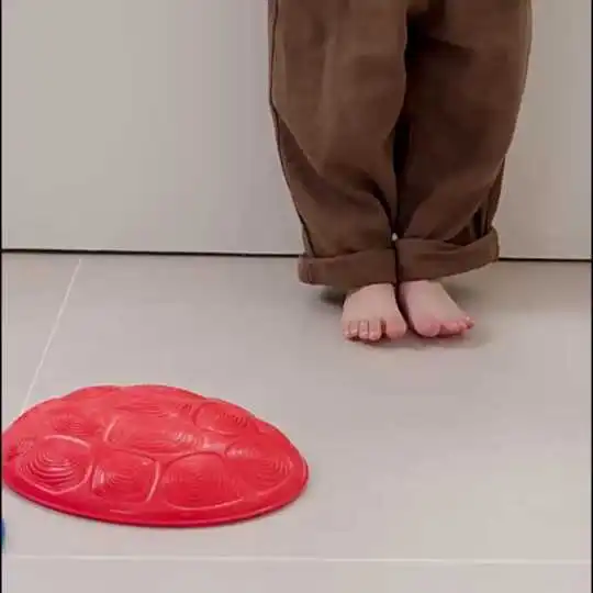 Juego de piedras para caminar con forma de tortuga VEVOR: explore sus características y ventajas