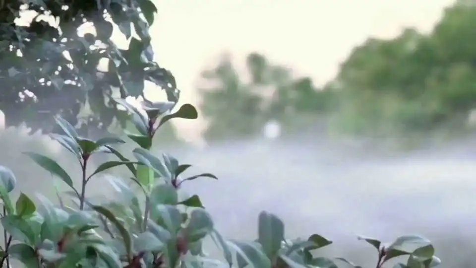 So verwenden Sie die VEVOR Teleskop-Hochdruckreinigerlanze für die einfache Reinigung schwer zugänglicher Stellen