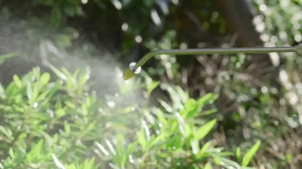 Watch How the VEVOR Stainless Steel Spray Nozzle Delivers Smooth Stainless Steel Paint Sprays with Easy Pump Action and Adjustable Spray Settings