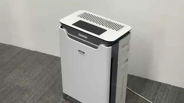 Step-by-Step Guide to Using the Best Air Purifier for Mold at Home