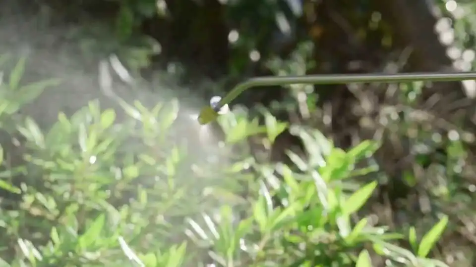 Guarda come lo spruzzatore manuale ad alta pressione VEVOR offre un controllo preciso dello spruzzo per progetti di verniciatura, pulizia e giardinaggio