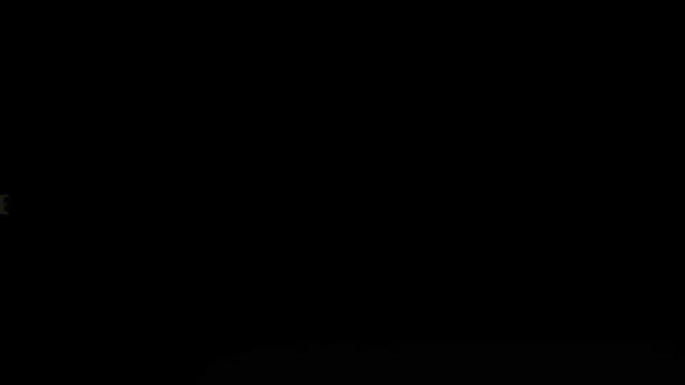 VEVOR Best Thermal Imaging Camera - Advanced Features & Superior Quality