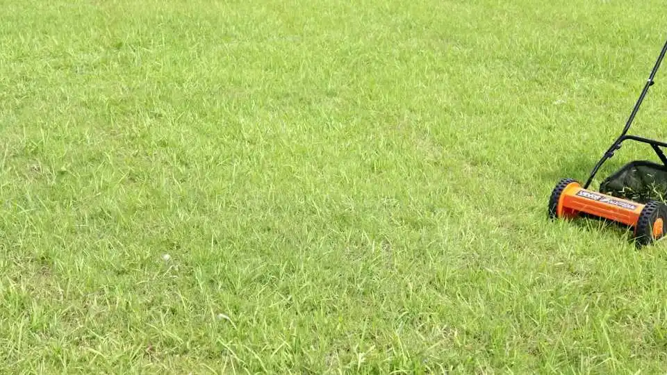 Watch the VEVOR Reel Push Lawn Mower in Action—Manual Walk-Behind Design with 5-Blade Cutting Power for Tall Weeds and Clean Grass