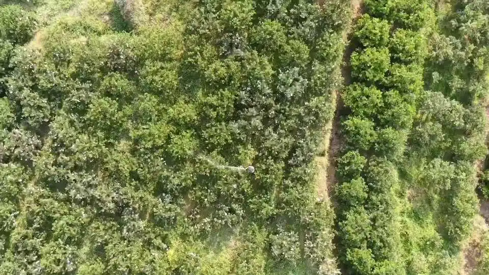 Demostración de la bomba sumergible para pozos profundos VEVOR: fácil instalación, potente caudal de agua y diseño duradero en acero inoxidable.
