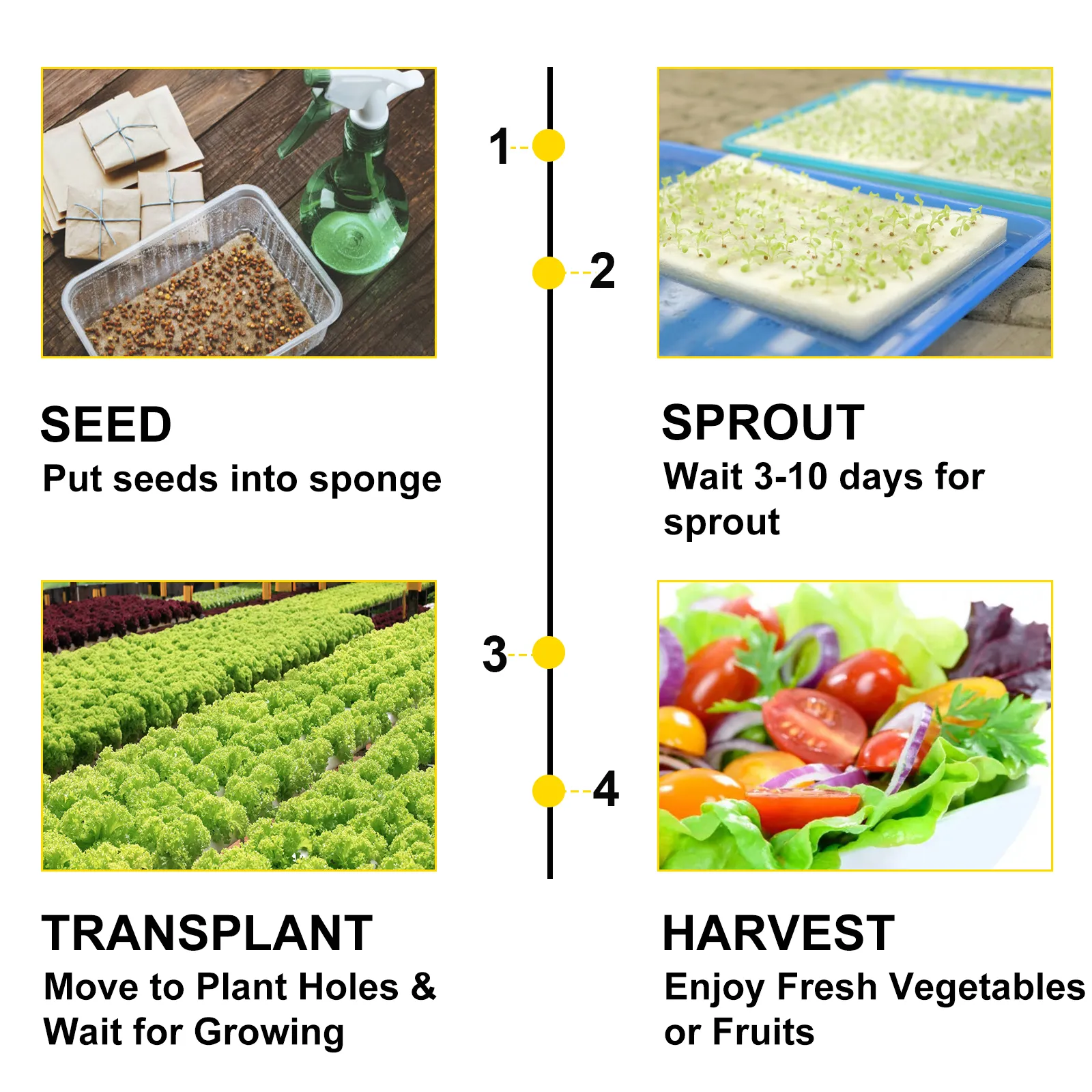 VEVOR hydroponic grow kit steps: seed, sprout, transplant, harvest fresh produce.