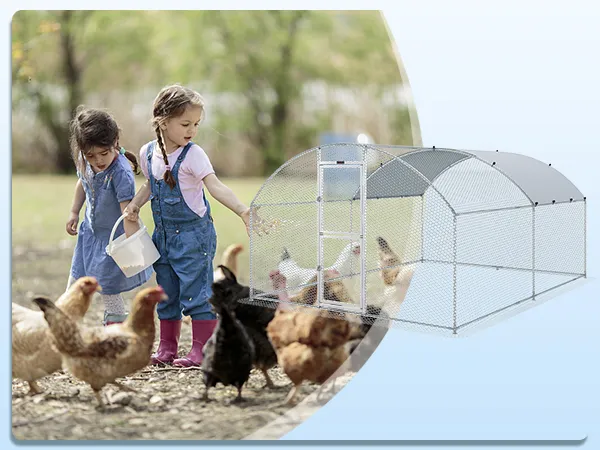 children feeding chickens near a VEVOR chicken coop in an outdoor garden setting.