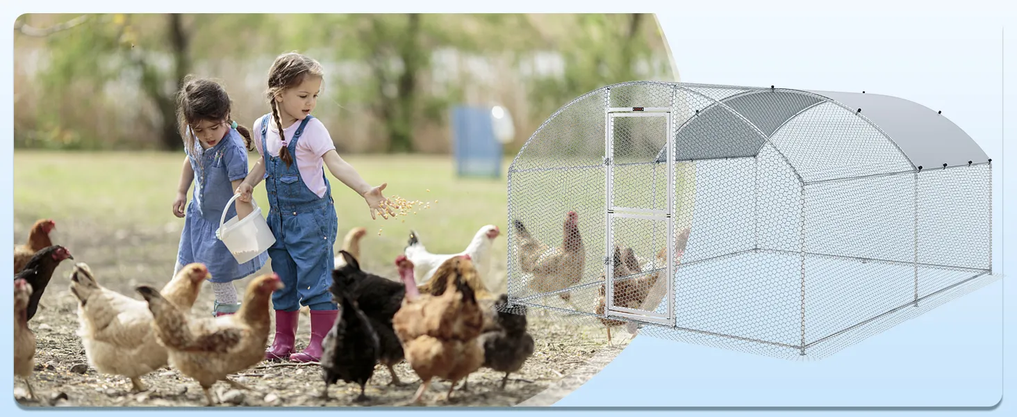 children feeding chickens near a VEVOR chicken coop in an outdoor garden setting.