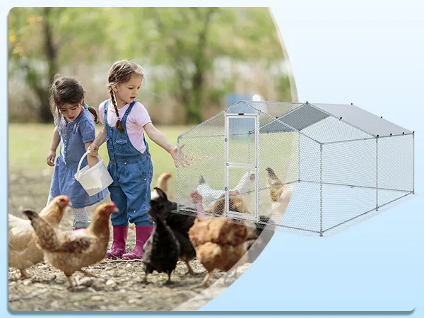 children feeding chickens near VEVOR metal chicken coop in a green outdoor setting.