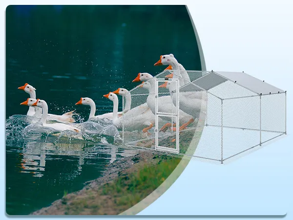 VEVOR metal chicken coop near a lake with ducks on the shore.