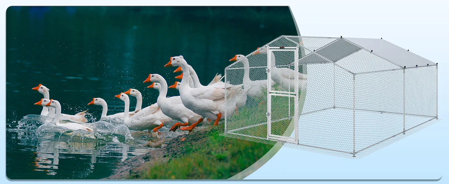 VEVOR metal chicken coop near a lake with ducks on the shore.