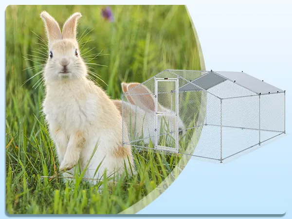 two rabbits in a grassy field next to a VEVOR metal chicken coop.