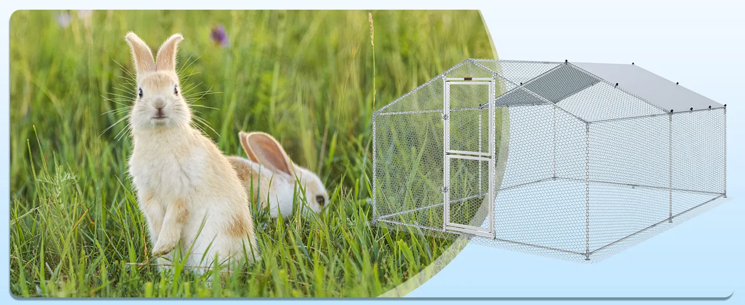 two rabbits in a grassy field next to a VEVOR metal chicken coop.