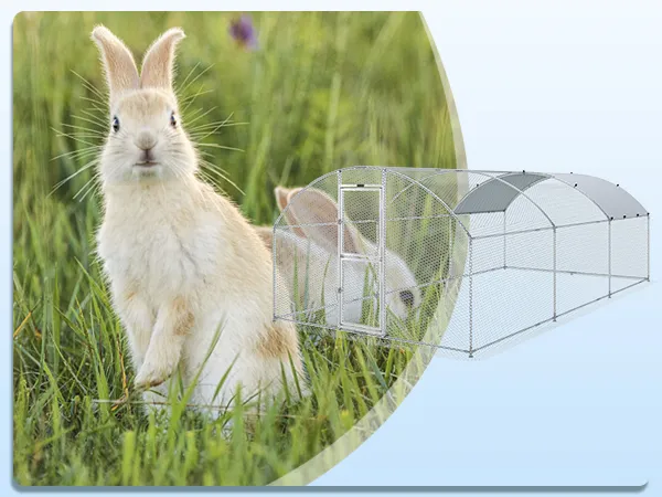 two rabbits in green grass with a VEVOR large metal chicken coop in the background.