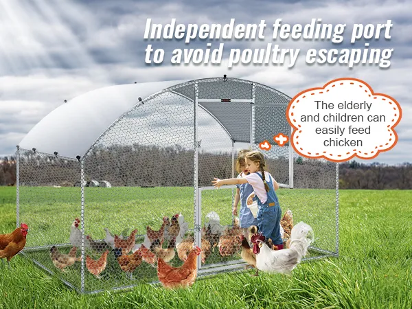 VEVOR chicken coop with feeding port and child feeding hens, ensuring poultry safety and easy access.