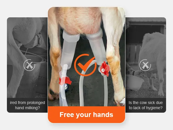 Libere sus manos con la máquina de ordeño de cabras VEVOR, que ofrece un ordeño de cabras eficiente e higiénico.