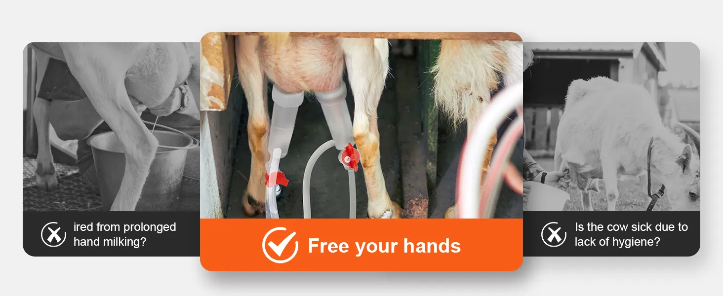 Libere sus manos con la máquina de ordeño de cabras VEVOR, que ofrece un ordeño de cabras eficiente e higiénico.