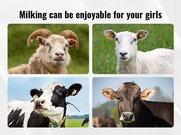 Cabras y vacas con texto que promociona la máquina de ordeño de cabras VEVOR para una experiencia de ordeño cómoda.