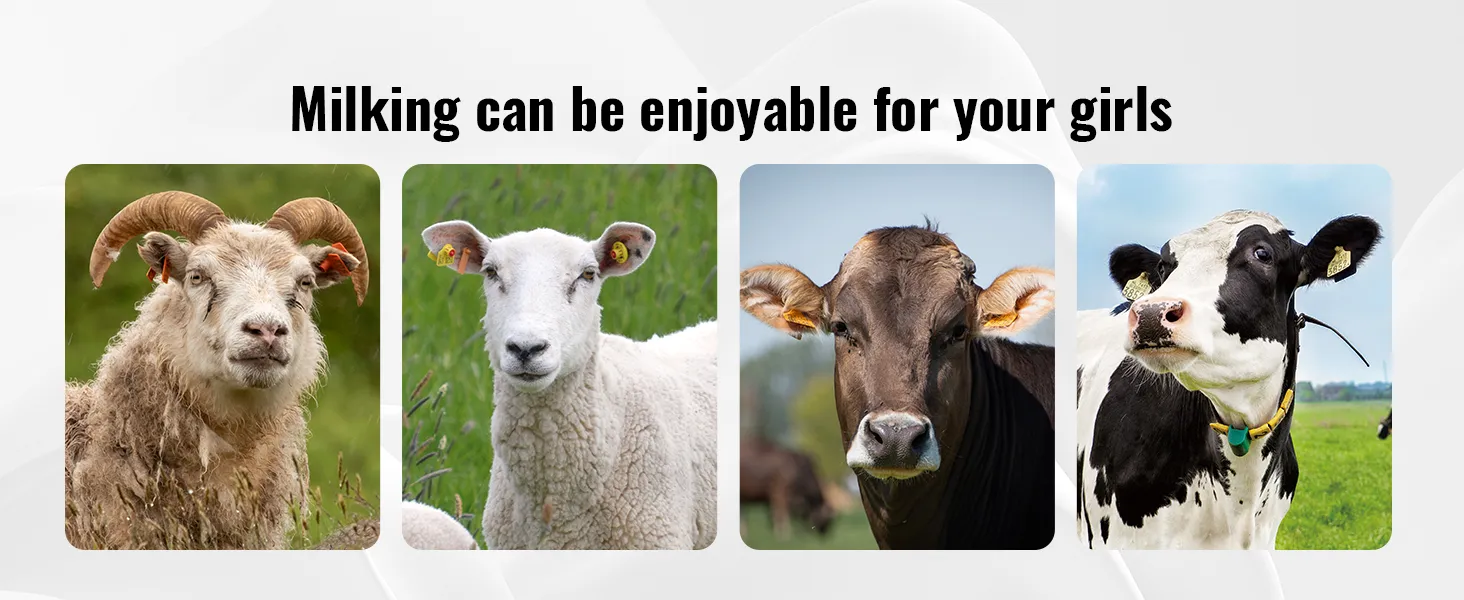 Cabras y vacas con texto que promociona la máquina de ordeño de cabras VEVOR para una experiencia de ordeño cómoda.