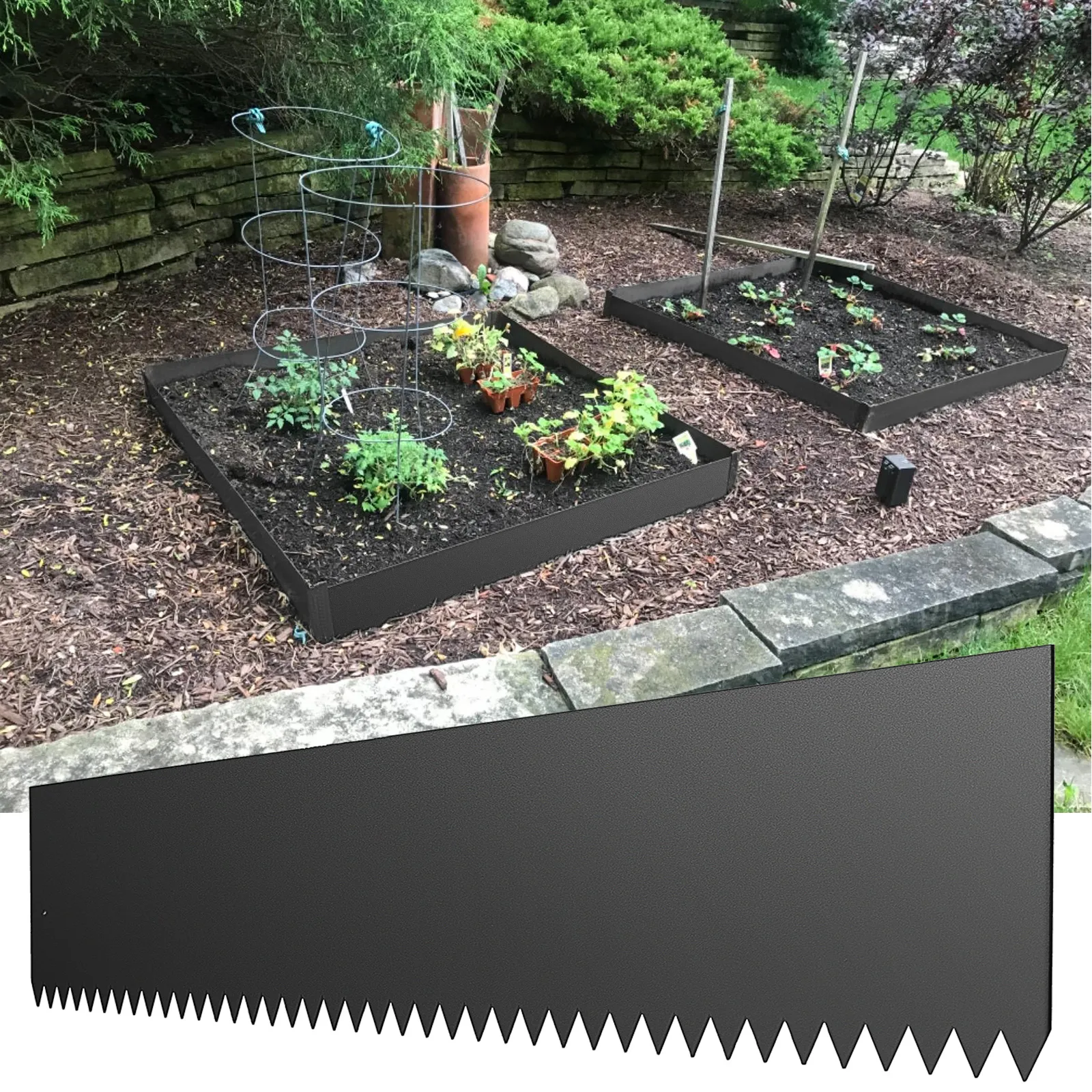 garden beds bordered with VEVOR steel landscape edging, surrounded by mulch and plants.
