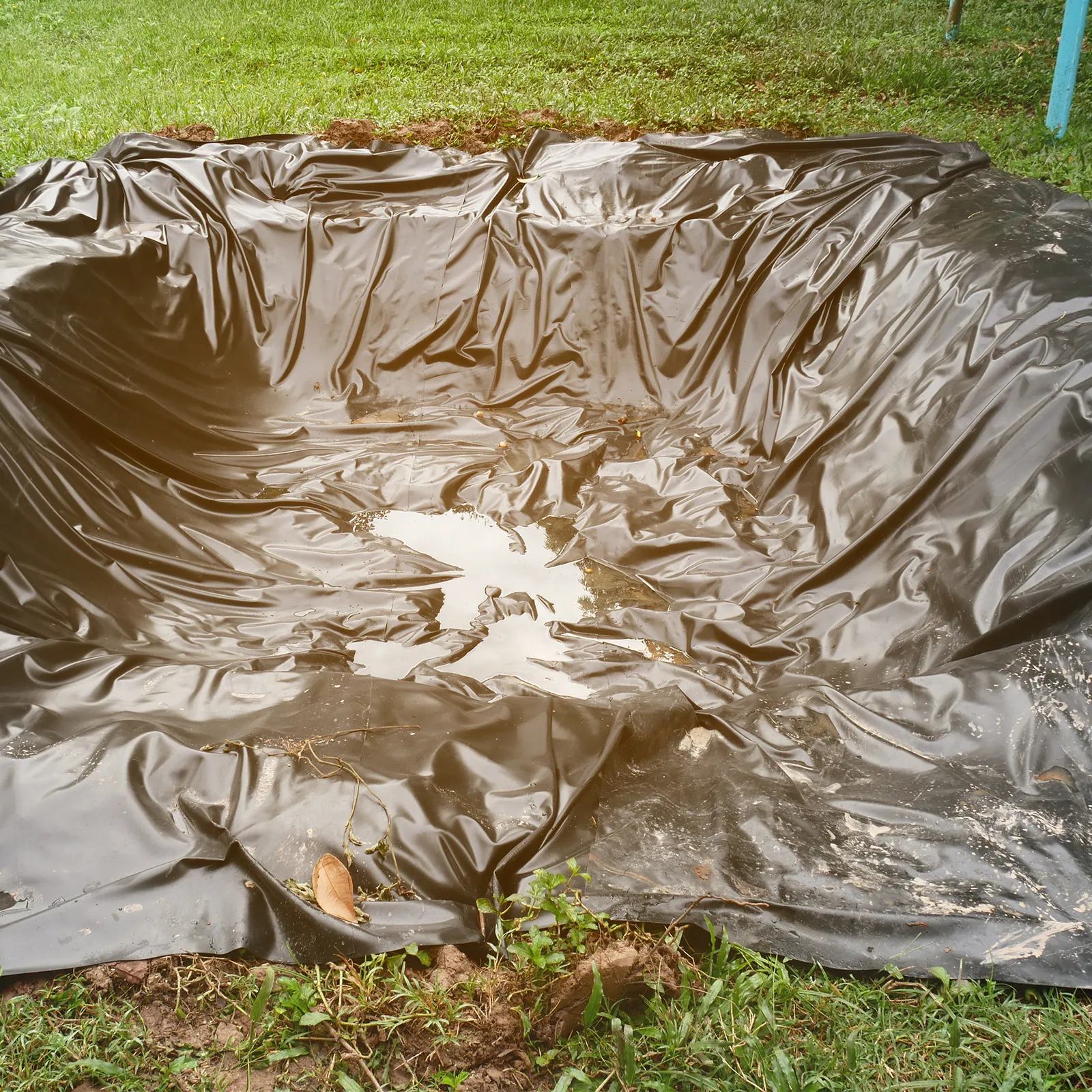 VEVOR pond liner installed in a dug-out area with water pooling, surrounded by grass and dirt.