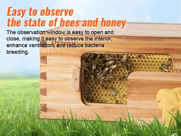 VEVOR beehive box kit with observation window showing bees in the honey super and brood box.