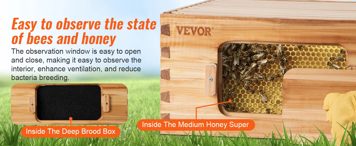 VEVOR beehive box kit with observation window showing bees in the honey super and brood box.