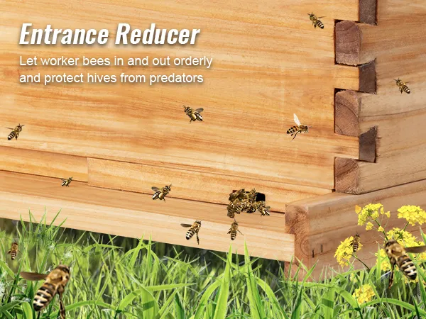 VEVOR beehive box kit with entrance reducer and bees, set in a grassy field with yellow flowers.