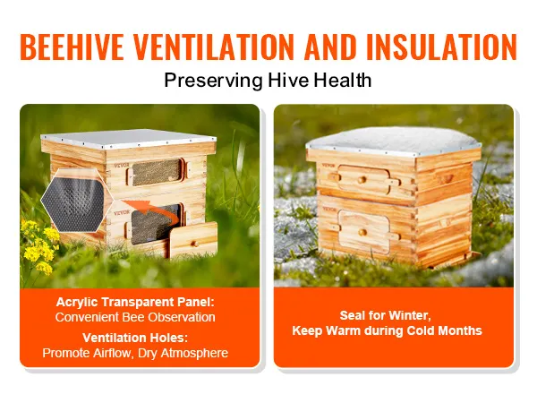 VEVOR Bee Hive 20 Frame Bee Hives Starter Kit, Beeswax Coated Cedar Wood, 1 Deep + 1 Medium Bee Boxes Langstroth Beehive Kit, Transparent Acrylic Windows with Foundations for Beginners Pro Beekeepers