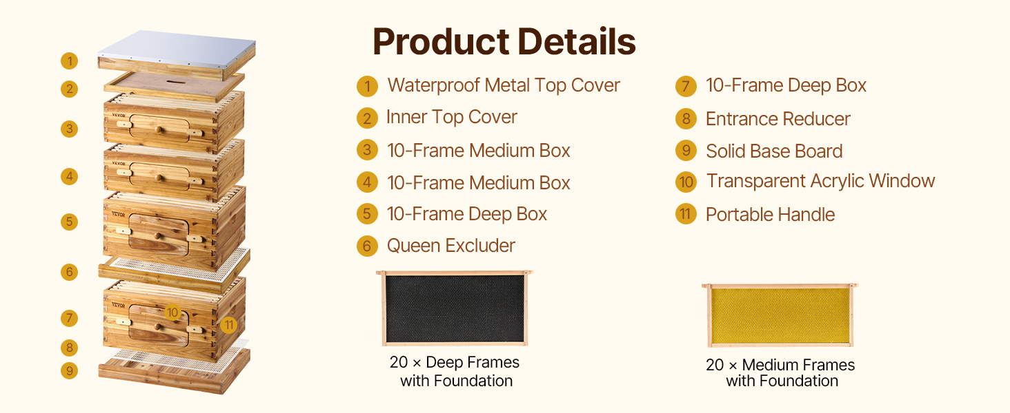 BEE-HIVE フライヤー BEE-HIVE フライヤー