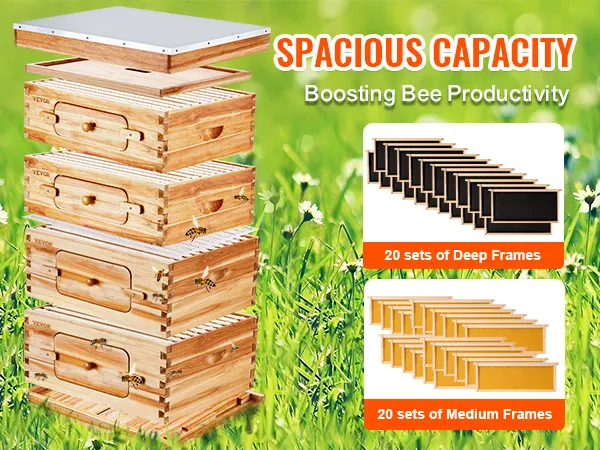 VEVOR bee hive kit with spacious capacity, featuring 20 sets of deep and medium frames.