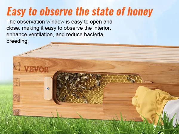 VEVOR bee hive kit with observation window, showcasing easy interior access and enhanced ventilation.
