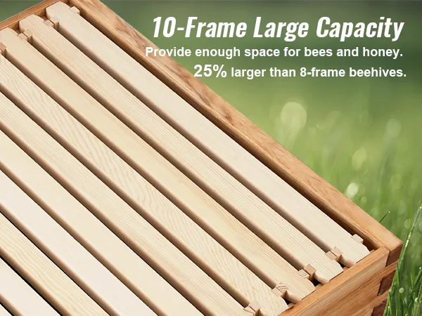 VEVOR bee hive kit with 10-frame large capacity, 25% larger than 8-frame beehives on green grass background.