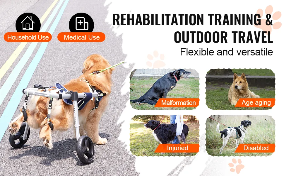 rehabilitation training & outdoor travel with VEVOR dog wheelchair for household and medical use.