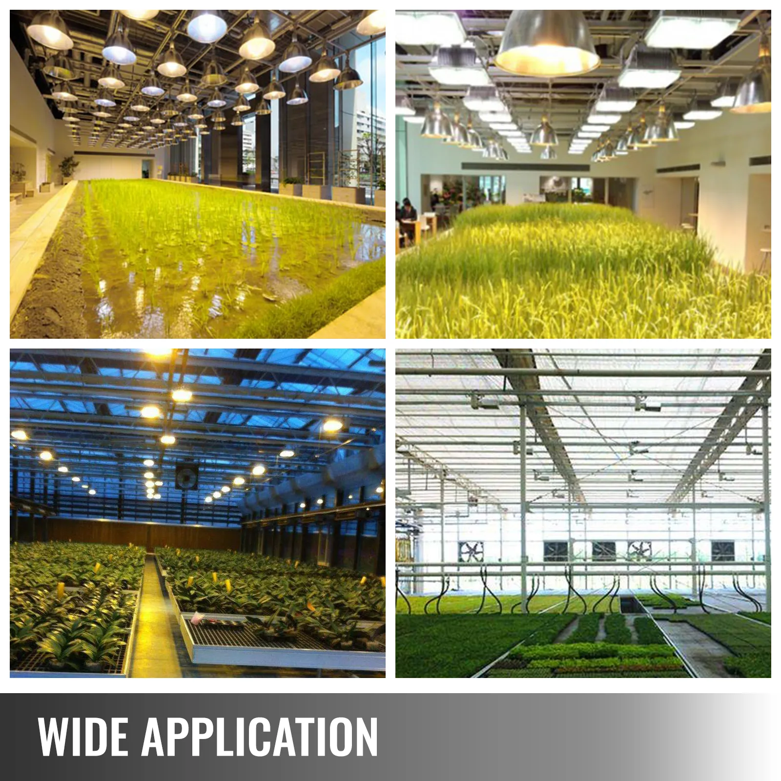 Kit de movimiento de luz de cultivo interior VEVOR que ilumina varias plantas de interior.