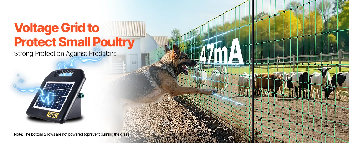 wolf near VEVOR electric fence netting protecting sheep; supports ac, solar, and dc power options.