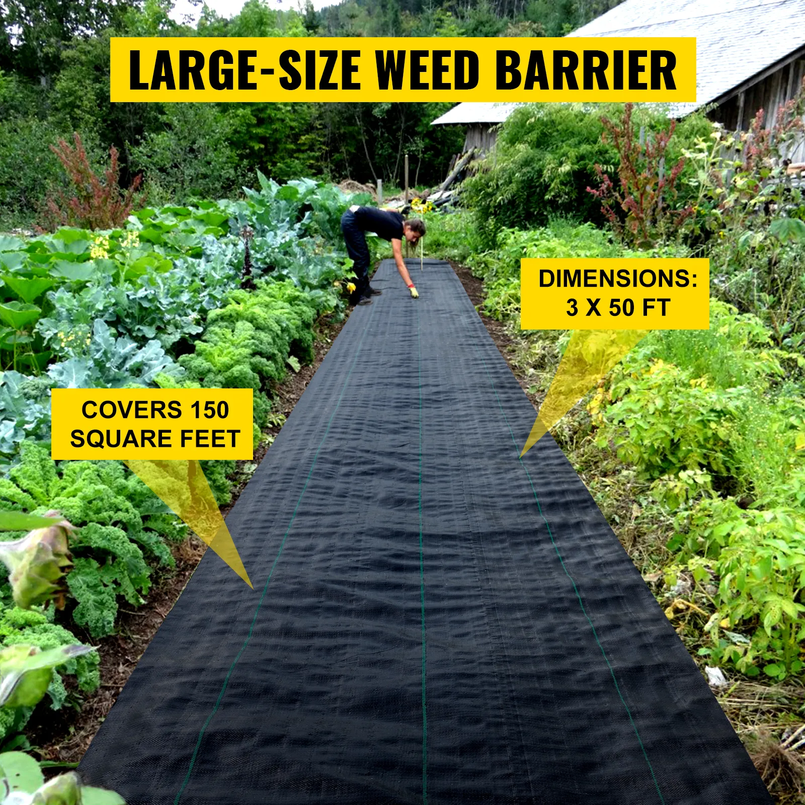 VEVOR weed barrier fabric in a garden, 3 x 50 ft, covers 150 sq ft.