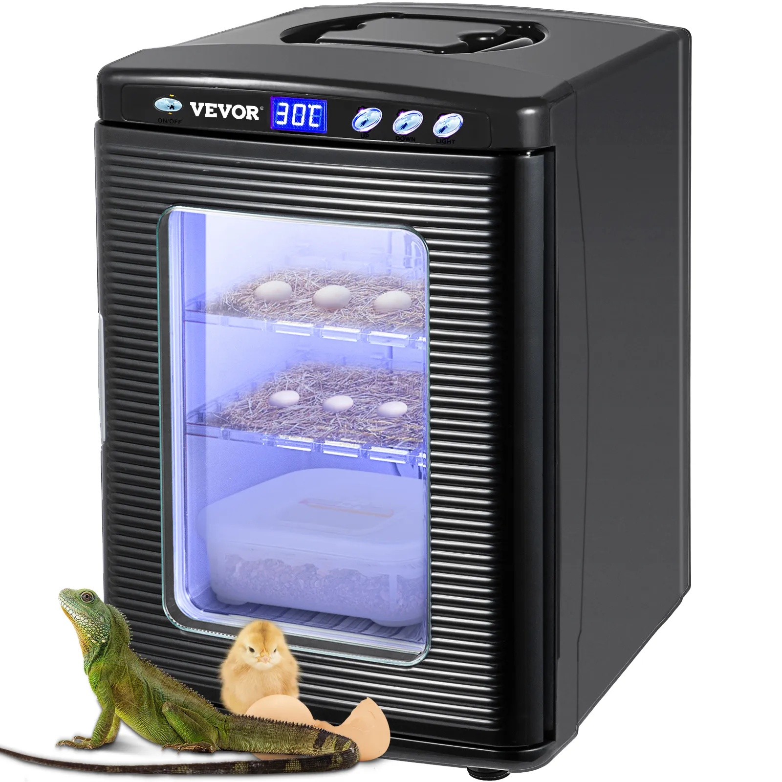 VEVOR reptile incubator with eggs inside, displaying temperature, iguana, and chick.