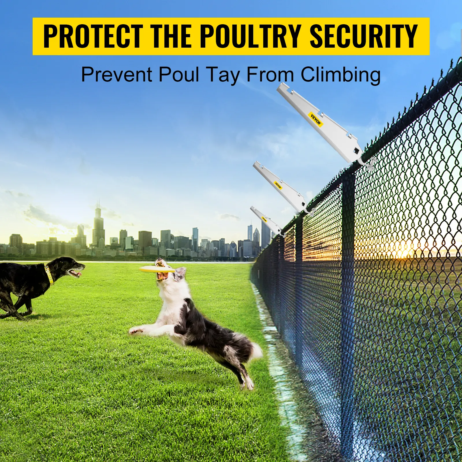 protect poultry with VEVOR barbed wire arm on chain-link fence, dogs playing nearby.