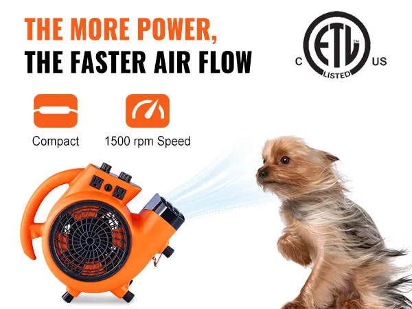Soplador de piso VEVOR, diseño compacto, velocidad de 1500 rpm, potente flujo de aire, perro pequeño con pelaje al viento.