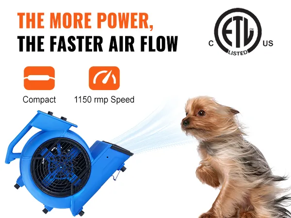 Soplador de piso VEVOR azul con diseño compacto, velocidad de 1150 rpm y un pequeño perro con pelo volando con el viento.