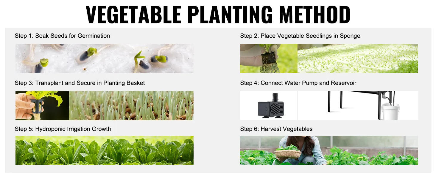 Stappenplan voor het VEVOR hydrocultuursysteem: zaden weken, zaailingen plaatsen, verplanten, pomp aansluiten, irrigatie, groei, oogsten.