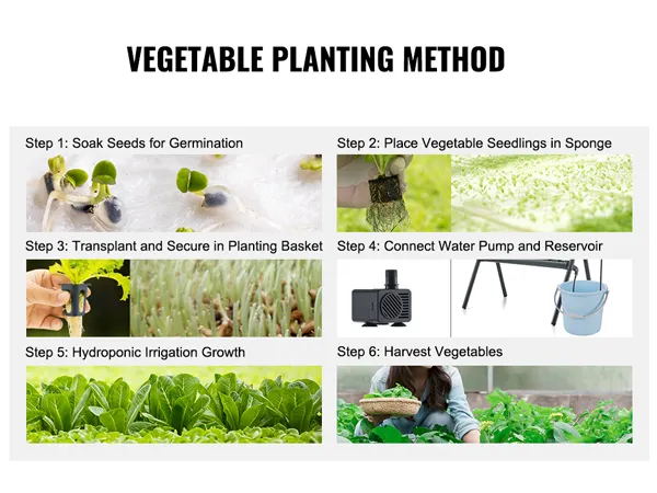 Handleiding voor het VEVOR hydrocultuursysteem: zaden weken, zaailingen plaatsen, verplanten, pomp aansluiten, kweken, oogsten.