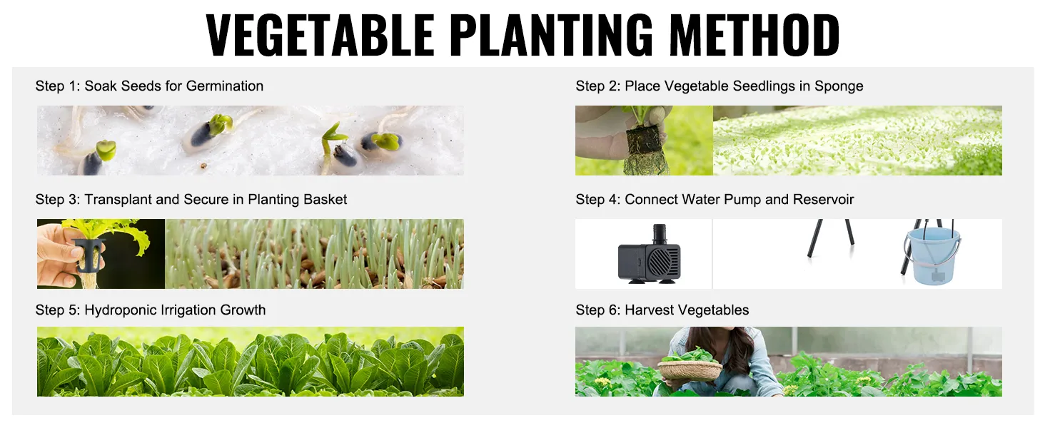 Handleiding voor het VEVOR hydrocultuursysteem: zaden weken, zaailingen plaatsen, verplanten, pomp aansluiten, kweken, oogsten.
