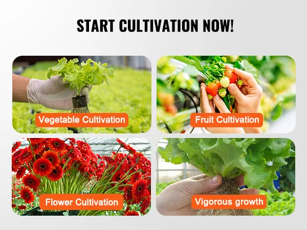 Begin nu met kweken! met het VEVOR hydrocultuursysteem voor groenten, fruit, bloemen en bladgroenten.