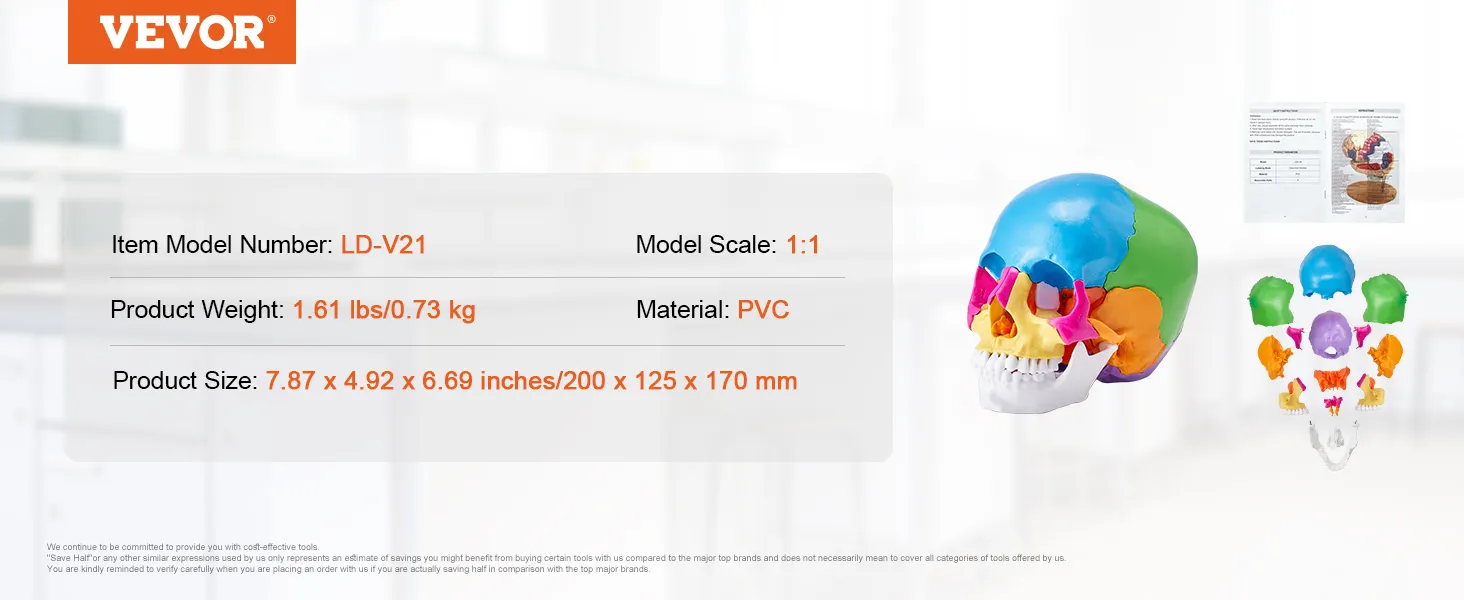 VEVOR human skull model ld-v21, 1:1 scale, pvc, weight 1.61 lbs, 7.87 x 4.92 x 6.69 inches