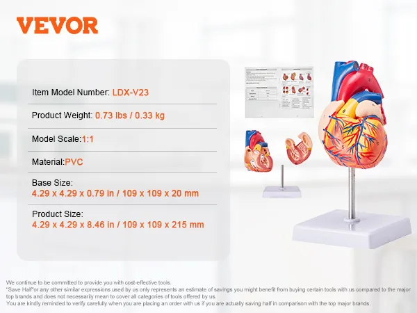 VEVOR human heart model, model number ldx-v23, pvc material, 1:1 scale, with product details.