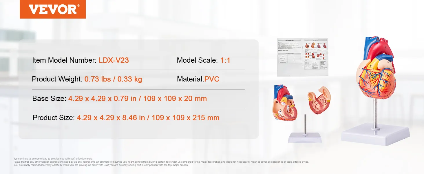 VEVOR human heart model, model number ldx-v23, pvc material, 1:1 scale, with product details.