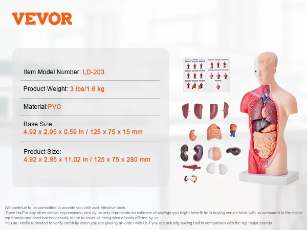VEVOR human body model, 11.02 inches tall, detachable organs, pvc material, item ld-203, 1.01 lbs weight.